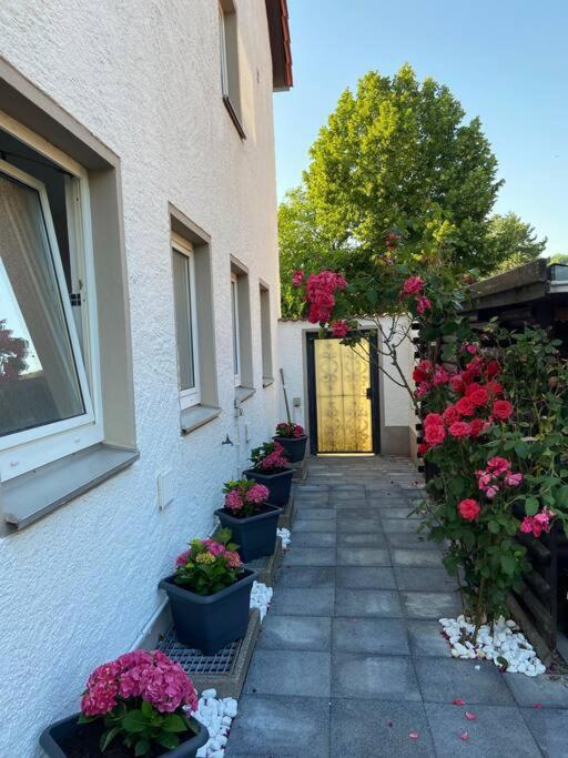 Bronzetaler Apartment Bad Harzburg Bagian luar foto