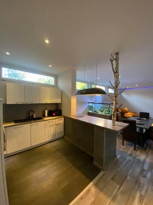 Bronzetaler Apartment Bad Harzburg Bagian luar foto